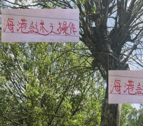 海港在亞冠謎之操作3比0落后還舍不得換下主力