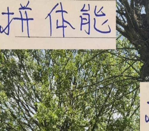 拼體能！很少有球隊(duì)能干過成都周定洋費(fèi)利佩比申花海港還能跑
