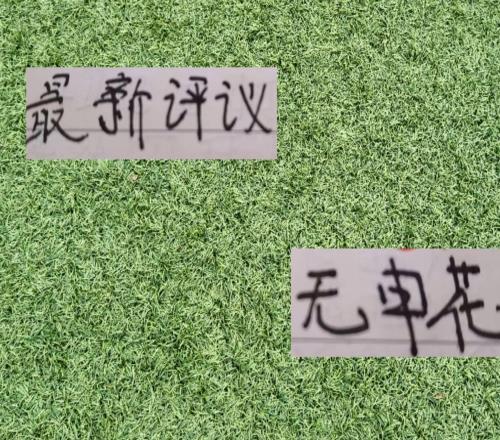 中超最新評議終于沒有申花名字
