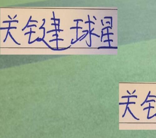 中超第27輪前三關(guān)鍵人物申花是特謝拉海港萊昂成都是費(fèi)利佩