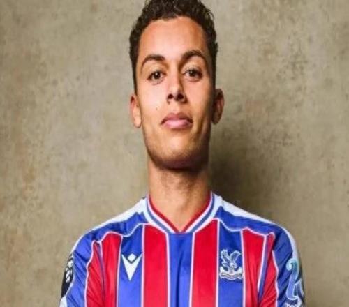 英超：水晶宮創(chuàng  )隊史轉會(huì )費紀錄簽下布倫南約翰遜