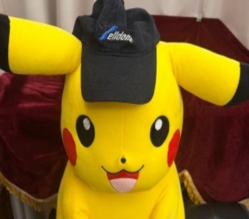 Rookie分享皮卡丘玩偶：大頭