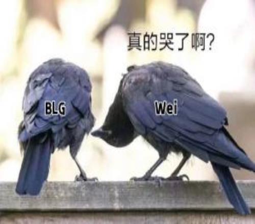 理性討論：作為目前LPL紙面實力最強的全華班BLG，為什么風評如此之差
