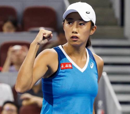 張帥為何不參加全運會網(wǎng)友三重猜測，與網(wǎng)協(xié)塵封多年矛盾被扒出