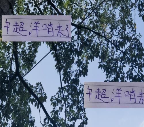 周末兩場天王山比賽成都VS海港山東VS北京國安洋哨執(zhí)法穩(wěn)了！