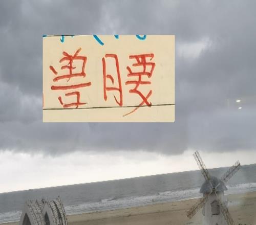 申花的宿敵都在補腰！海港拿下多哥國腳深圳引進(jìn)大魚周定洋