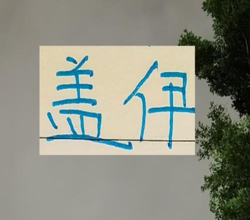 都是塞內(nèi)加爾前鋒！蓋伊能超越登巴巴在申花34個進球嗎