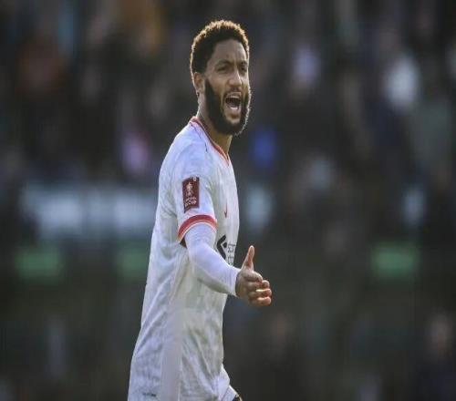 全市場丨米蘭考慮冬窗再追求喬戈麥斯