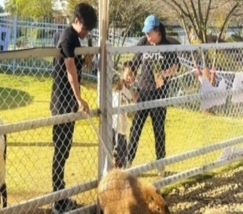 Beichuan分享旅游照：冒死投喂一下封王極限