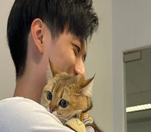 你是真用心，也是真下血本啊......