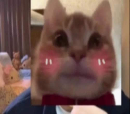 涵藝：iG經(jīng)理沒(méi)經(jīng)驗(yàn)第一次搞這種轉(zhuǎn)會(huì)期，換蘇小落Elk不可能到WBG