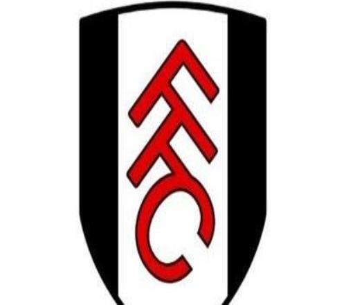 DO：富勒姆可能會(huì )在冬窗引進(jìn)一名前鋒和一名右邊鋒