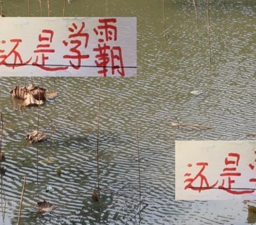 學霸不滿意自己成績！轉眼一看還是班里第一說得就是海港！