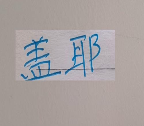 如果蓋耶能來申花的鋒線應(yīng)該超越山東成為中超最貴的鋒線了