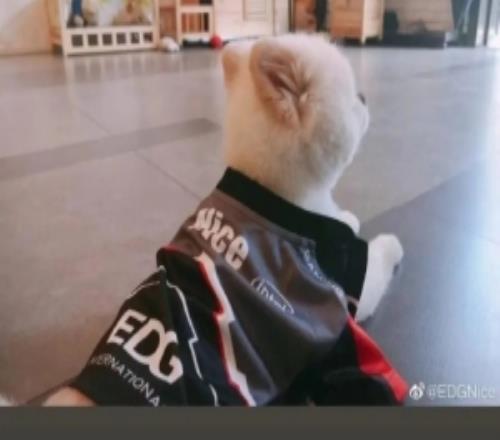 Deft和PawN發(fā)文送別Nice：下次再見吧小寶貝心理教練Nice