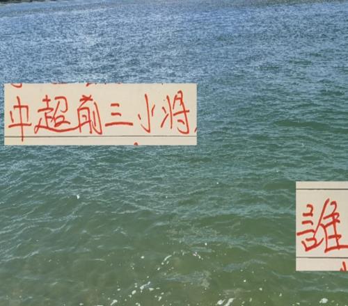 中超前3名誰能奪冠看申花劉誠宇北京國安小范海港小蒯能否當家