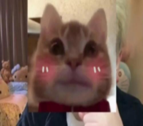 涵藝：IG簽Elk方面領(lǐng)先很多結(jié)果我在WBG基地遇袁璽說Elk改主意了