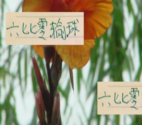 中超很少有被打到6比0最后還能奪冠球隊北京國安能破這個宿命嗎