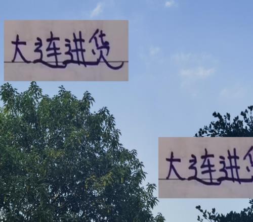 大連今年從中超前4進(jìn)貨海港劉主任最給力申花名宿馬萊萊難評