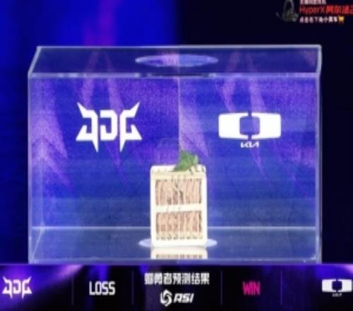 ASI賽事現(xiàn)場：蟈蟈預(yù)測DK將戰(zhàn)勝JDG！