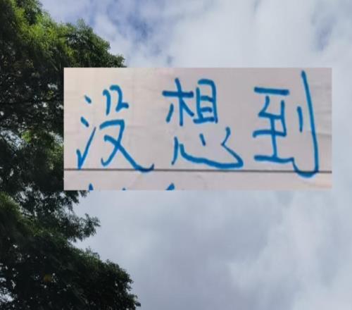 沒想到！下賽季中超葡萄牙身價(jià)最高外援不是申花特謝拉跟馬納法