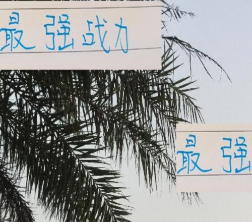 最強(qiáng)戰(zhàn)力都在包廂情況下！申花進(jìn)攻和防守都排第二前俄教練厲害