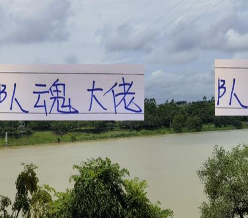 隊(duì)魂大佬！中超三大球隊(duì)里海港是萊昂成都是周定洋申花是吳曦