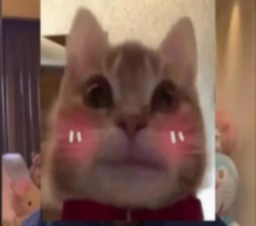 朱開：LNG中野是韓援確定了，是BuLLDoG和Croco