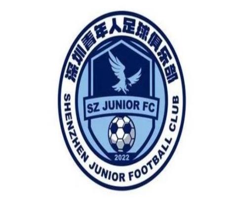 深晚：深圳青年人新賽季想換個(gè)活法，正在關(guān)注中超級別的外援