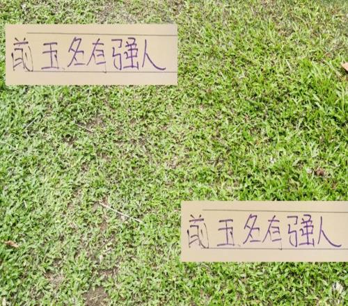 今年中超不像去年進(jìn)球+助攻的王者都在海港前5里面都有能人