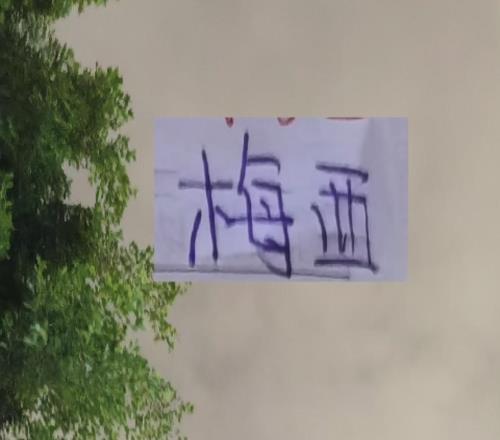 申花2026第一場熱身被逼平！梅西妻子曬泳裝真不把粉絲當(dāng)外人