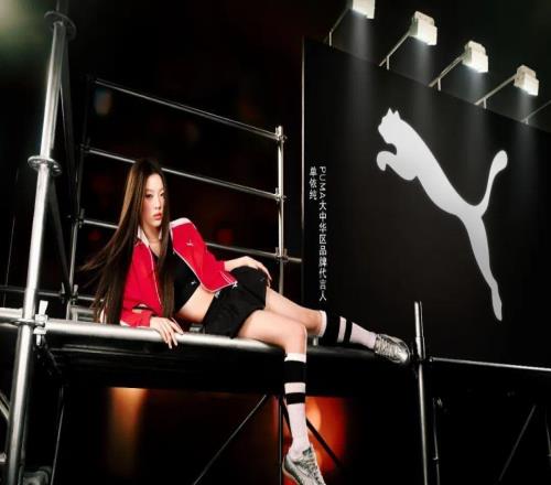 體育早餐12.16單依純代言彪馬遼寧16分大勝廣廈