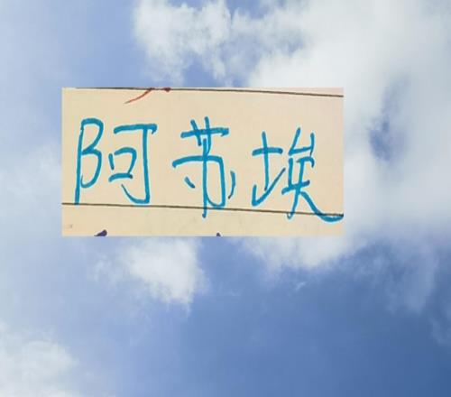 申花首秀就拉胯北京國安后防的阿蘇埃2026賽季還能再“見”嗎