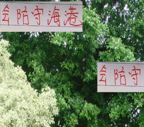 從強(qiáng)強(qiáng)對話送人頭！到申花+北京國安身上拿6分會防守海港挺棒
