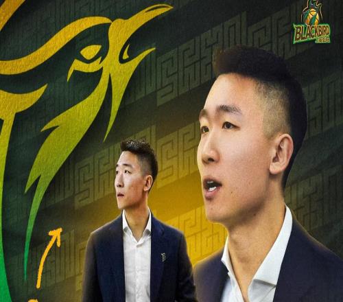 官方：30歲少帥楊贊執(zhí)教NBL新軍上海玄鳥曾斬獲WCBA最佳教練