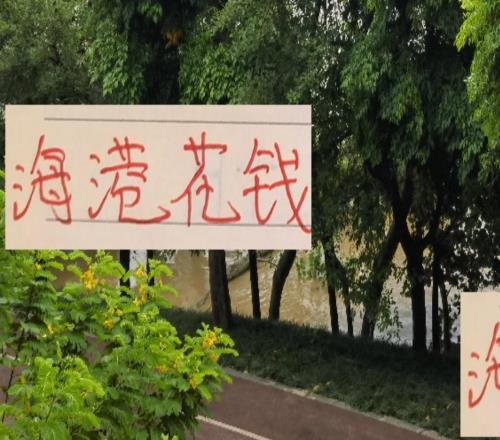 海港花錢至少聽見響申花也聽見一點(diǎn)今年就差北京國安了！