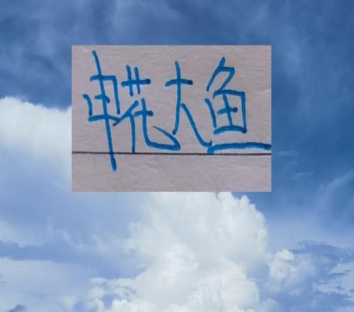 申花大魚終于上岸了！切爾西教練2026年第一天下課