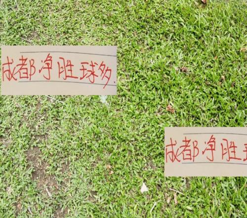 中超前4！成都蓉城進球最少但凈勝球瑤瑤領先申花海港北京國安