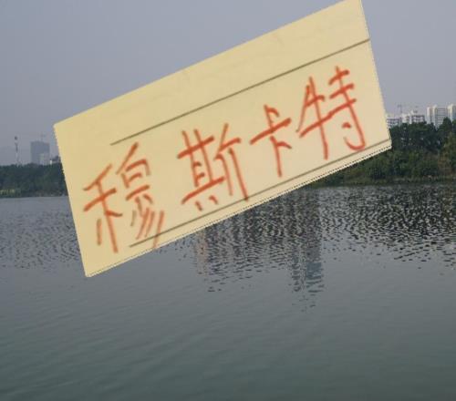 本賽季拿過冠軍3個中超教練穆斯卡特在海港史上注定要留名了