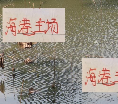 難得八萬人不如白玉碗！聯(lián)賽最后主場海港破3萬人比隔壁申花還多