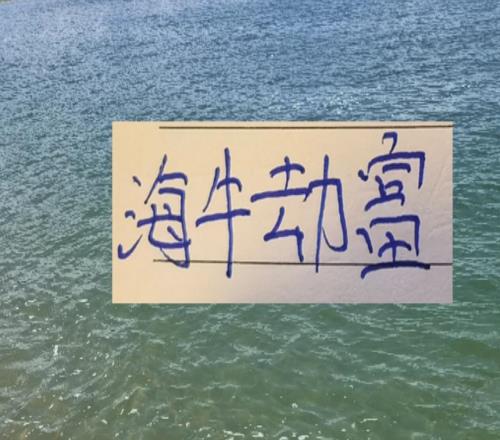 海牛劫富濟貧！接連在山東成都北京國安拿到分數(shù)李太守可不吹