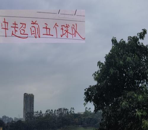 中超前5名各球隊(duì)射手大佬！申花的米內(nèi)羅的含金量還在提升！