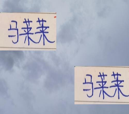 離開申花后！馬萊萊在大連第一年表現(xiàn)只能性價比不高來形容