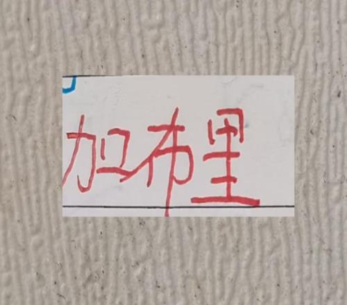 中超優(yōu)質(zhì)進(jìn)貨商！北京國(guó)安進(jìn)貨發(fā)飆拿到金靴海港的加布拿到冠軍