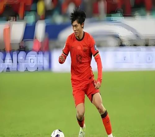 棄13將扶正韋世豪邵佳一打破功勛鐵飯碗?yún)s陷選人雙標(biāo)質(zhì)疑