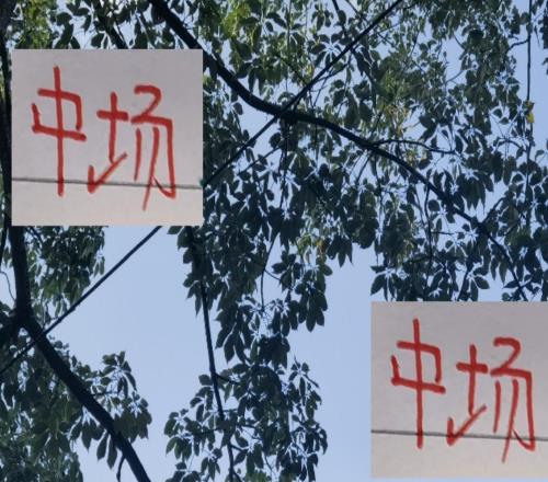 中超前4中場(chǎng)海港維塔出場(chǎng)最多申花中場(chǎng)進(jìn)球最多助攻也多