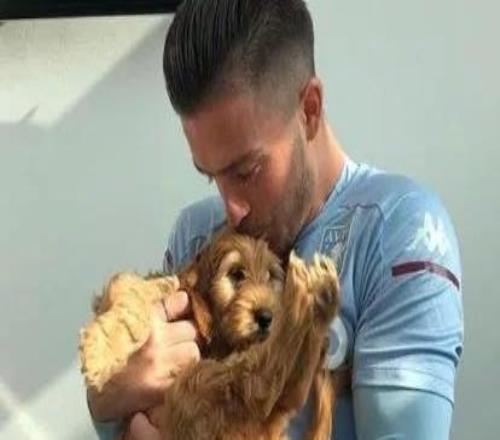 太陽報：格拉利什開價值26萬鎊的馬丁兜風，還把狗放駕駛位上