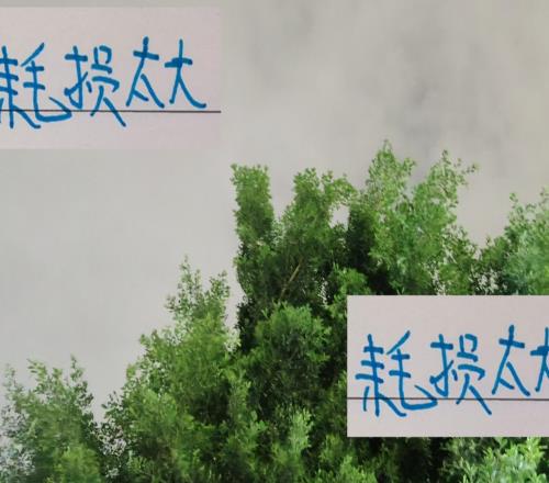 亞冠對(duì)馬納法+特謝拉耗損太大了！申花雙子神不靈球隊(duì)也不靈