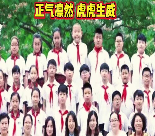 杨瀚森小学毕业照被网友翻出全班最高C位当仁不让