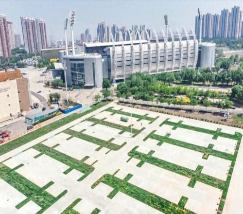 改善停车难问题，津门虎主场旁规划足球特色主题车位368个